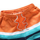 Men's Casual Printed Quick Drying Surf Beach Boardshorts